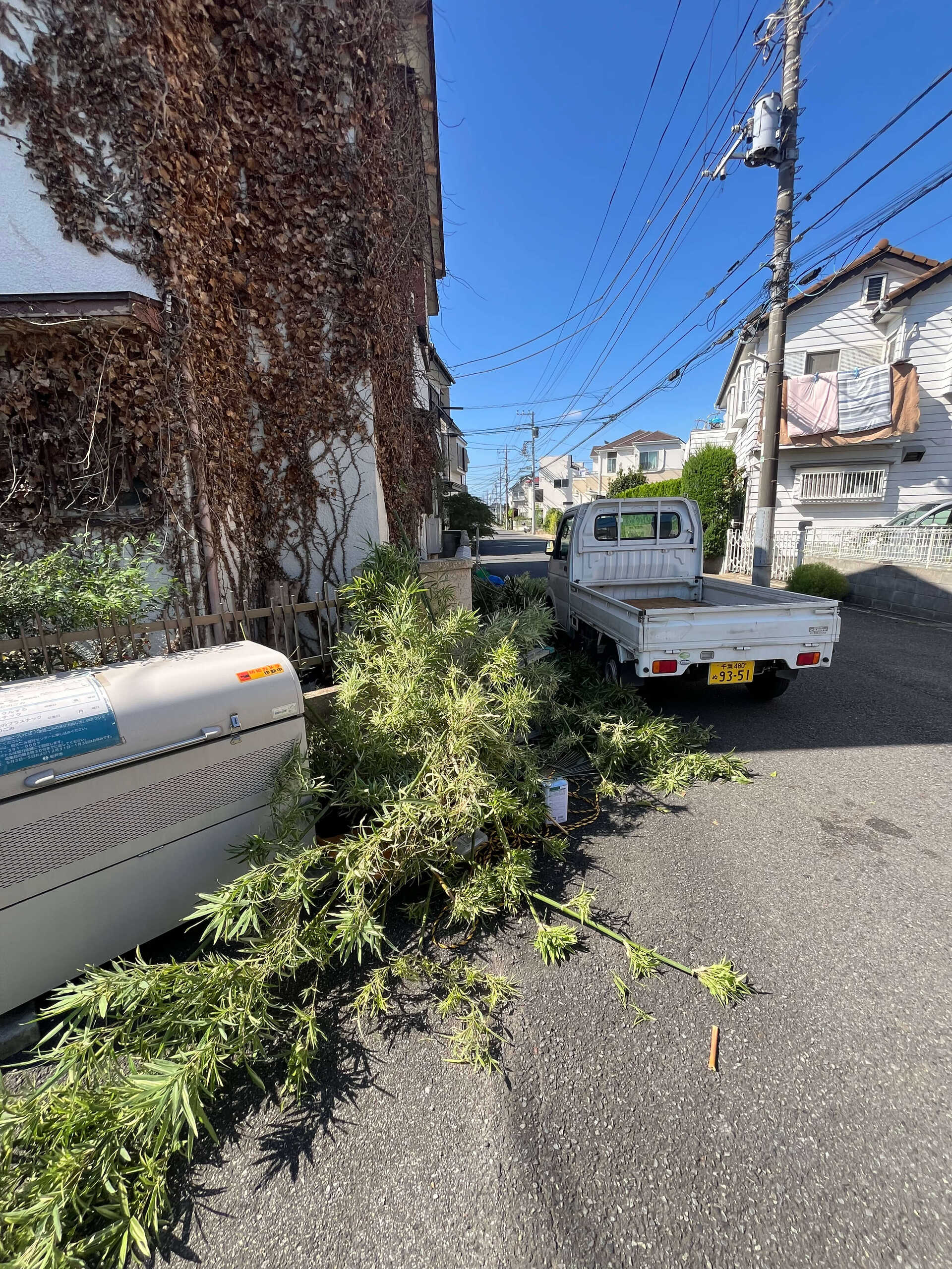 松戸市での作業