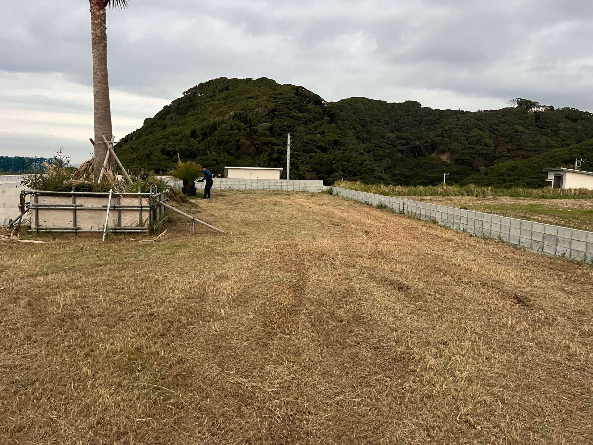 富津市での作業