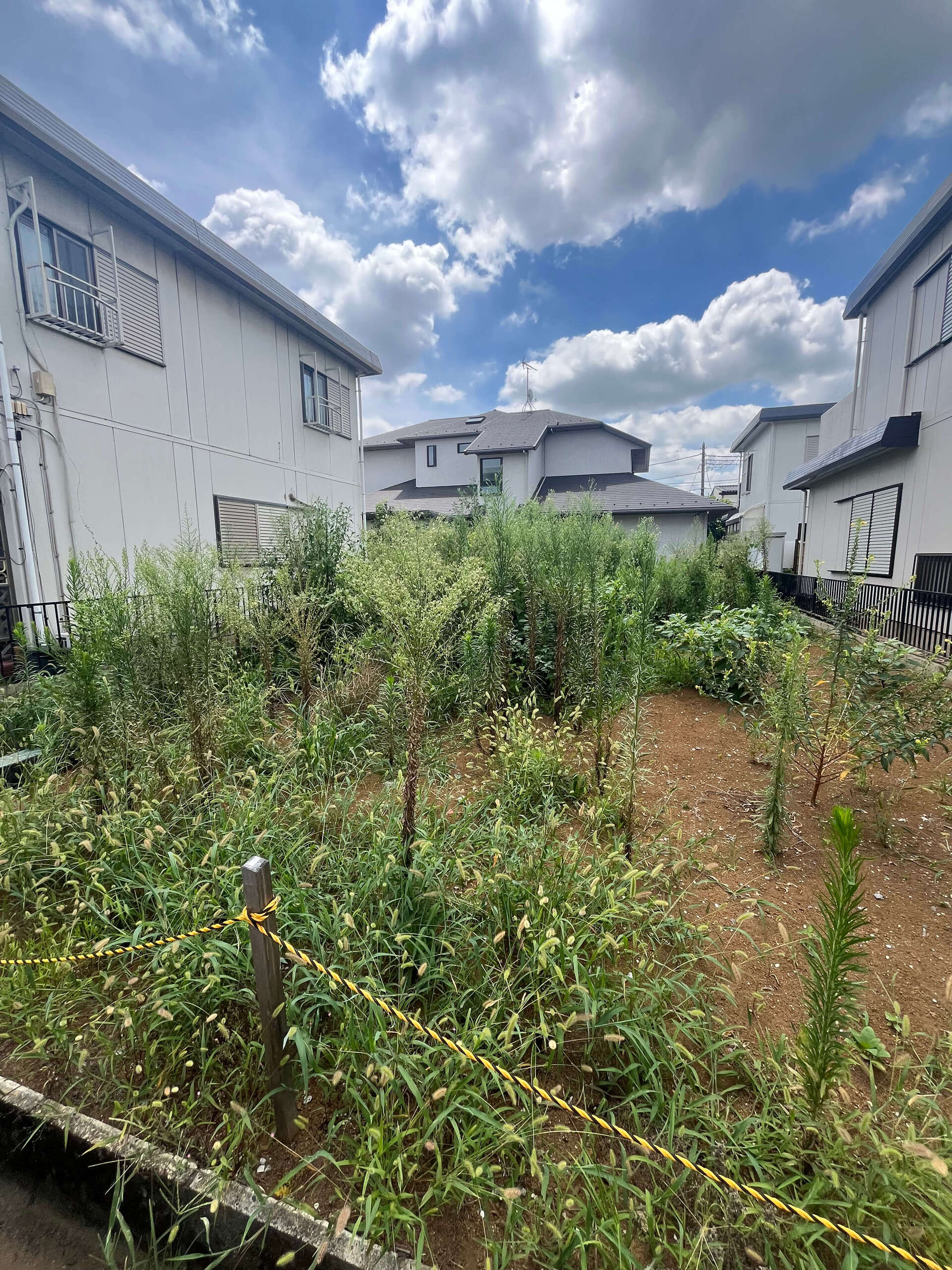 千葉市での作業