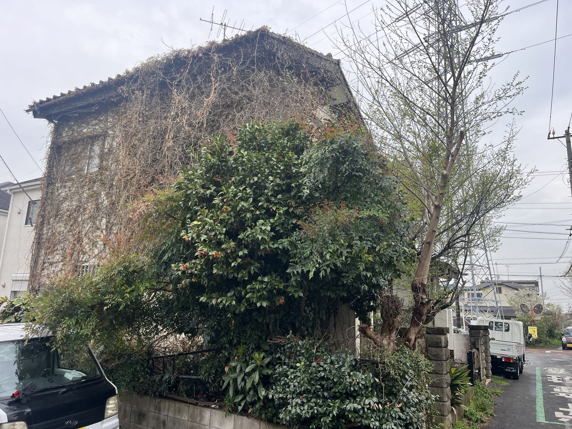 白井市での作業になります！
