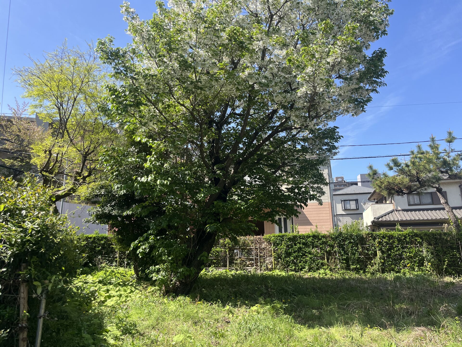 千葉市での作業になります！