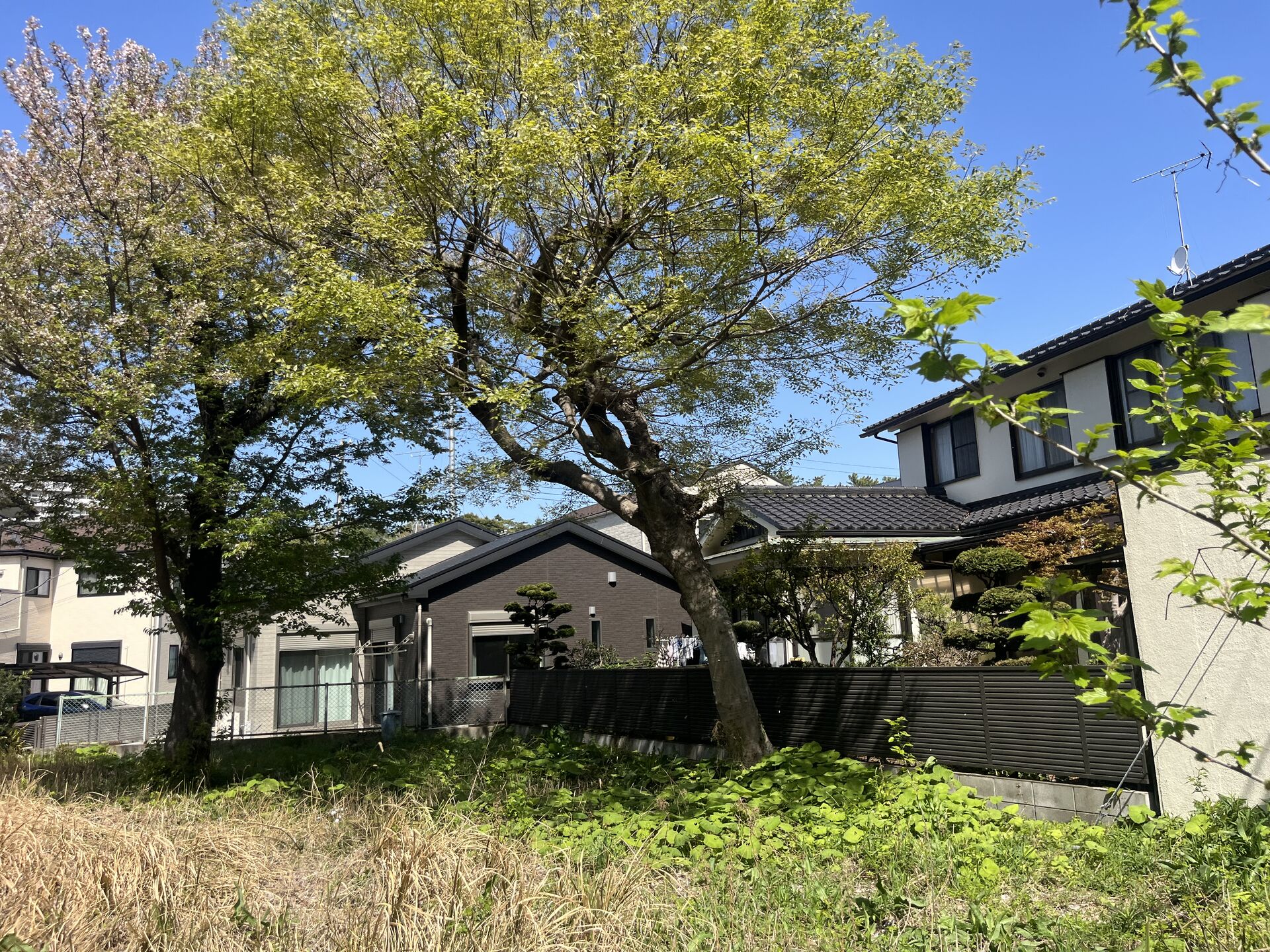 千葉市での作業になります！