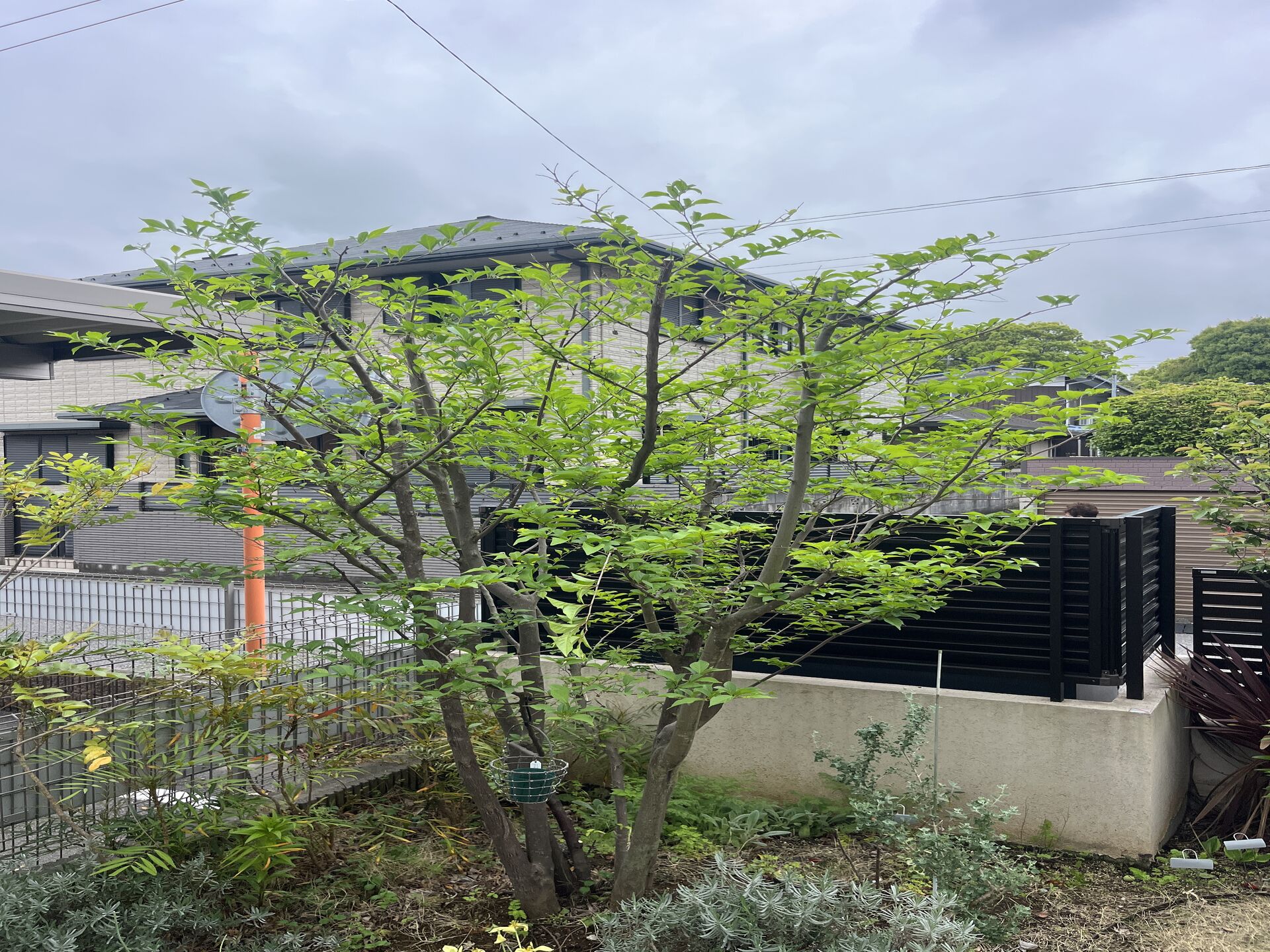 船橋市での作業になります！