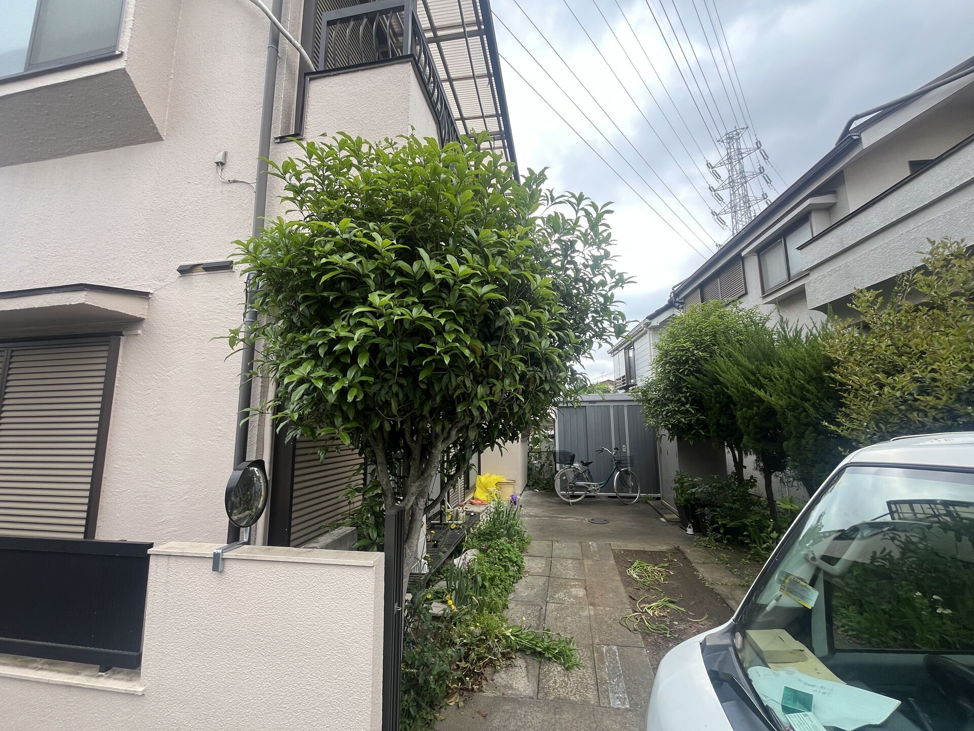 練馬区での作業になります！