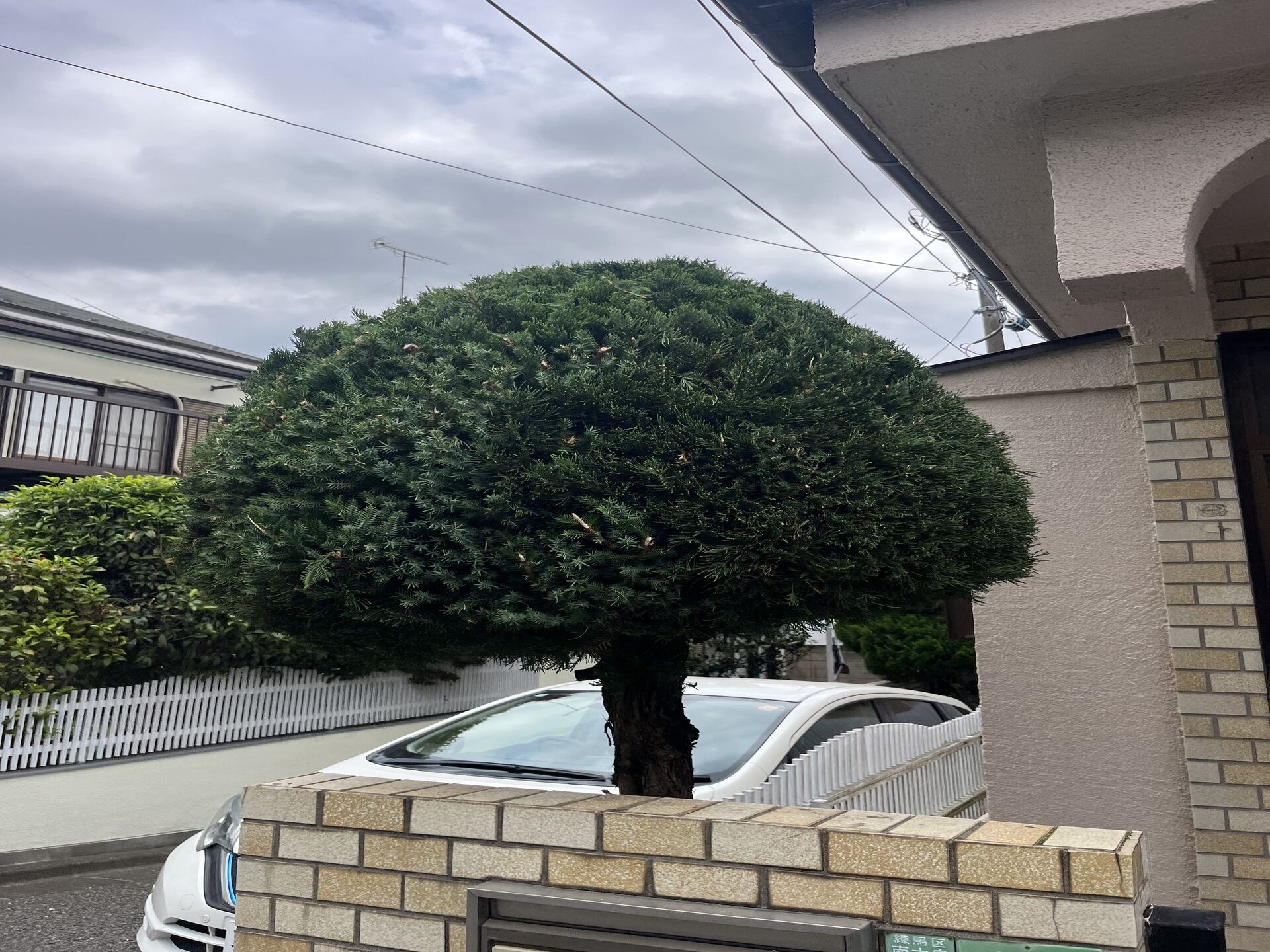 練馬区での作業になります！