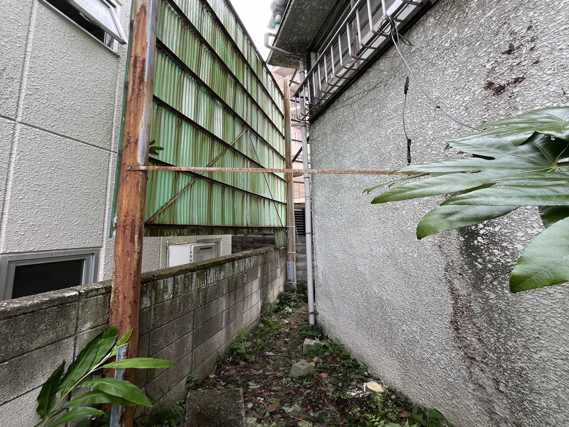 【伐採】千葉市での作業になります！