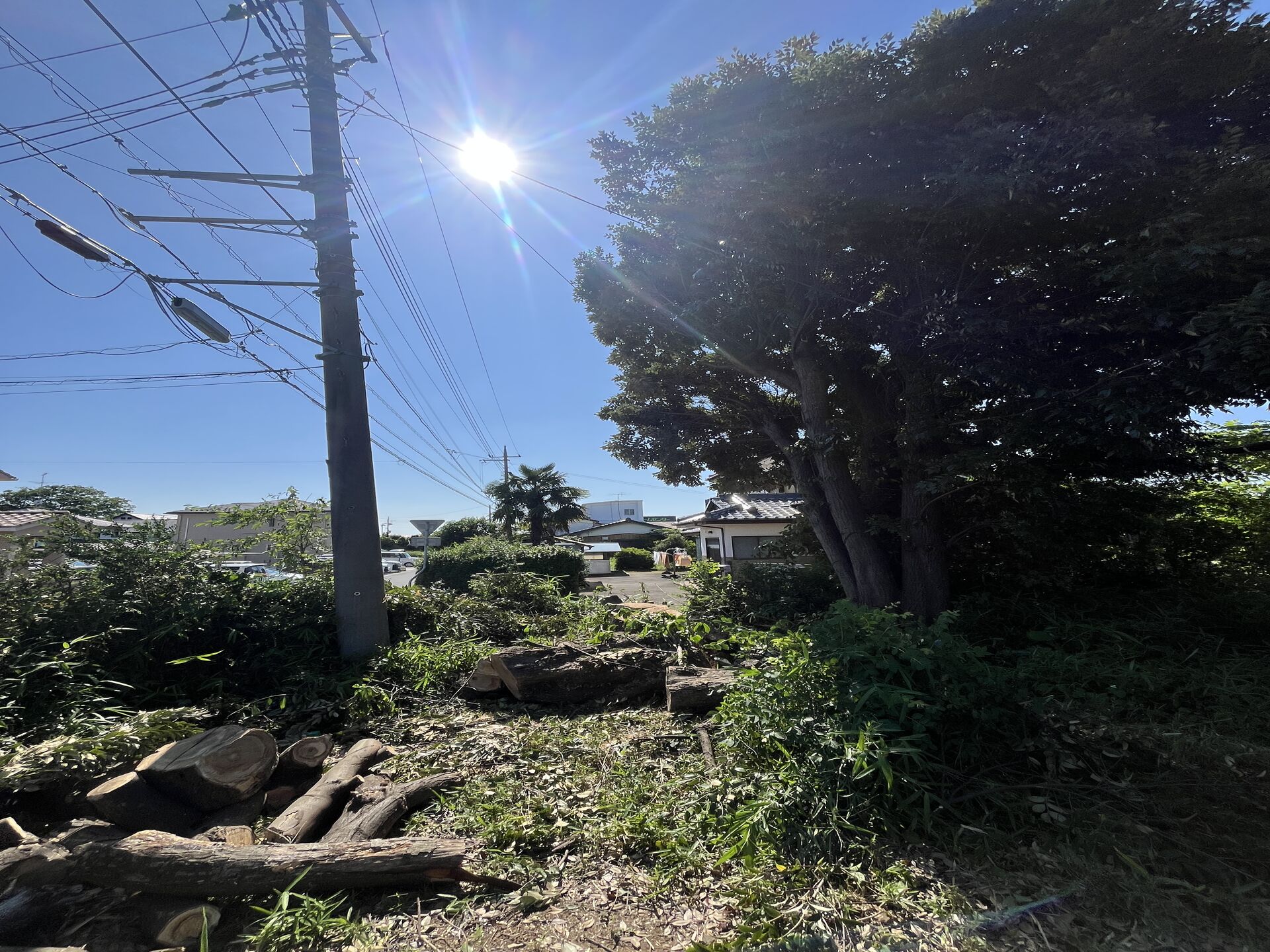 【伐採】千葉市での作業になります！