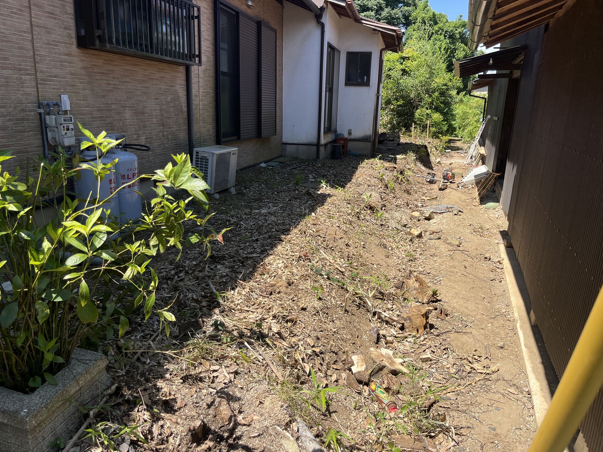 【伐採】市原市での作業になります！